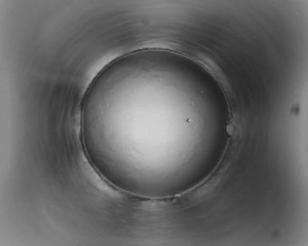 X0000115620804200911101414