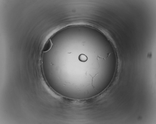 X0000115620805200911101414