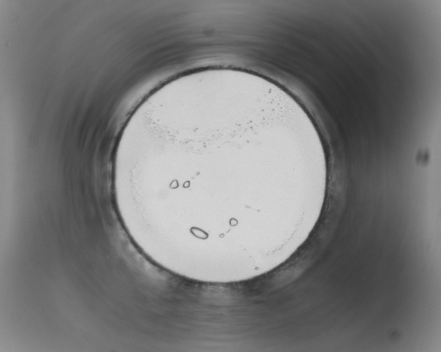 X0000115620807200911101414