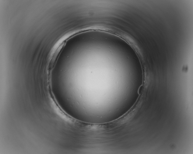 X0000115620808200911101414