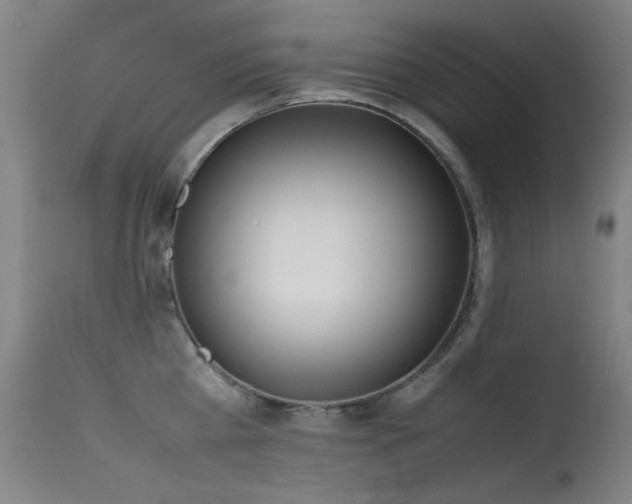 X0000115620809200911101414