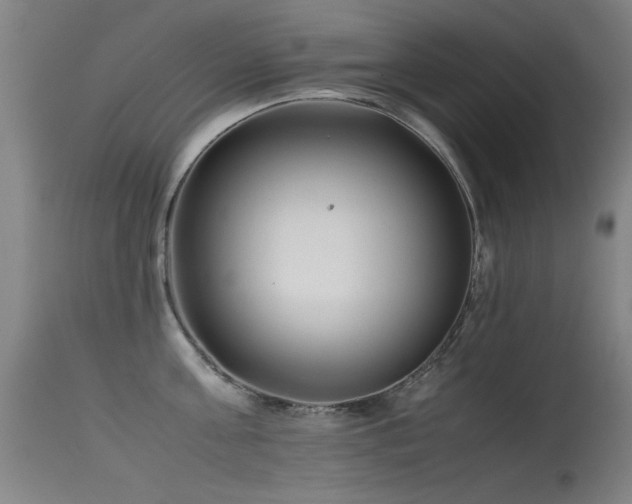 X0000115620811200911101414