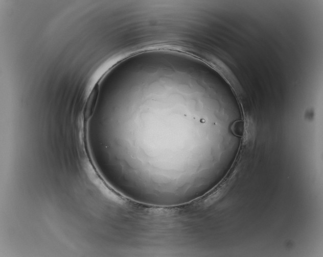 X0000115620812200911101414