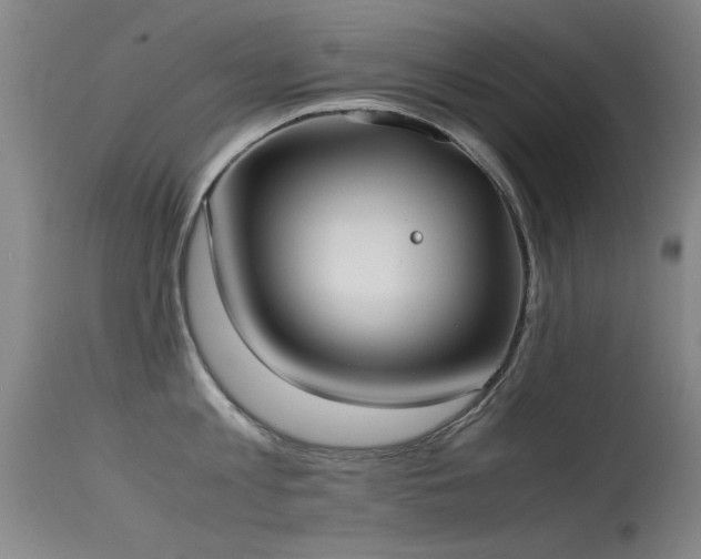 X0000115620813200911101414