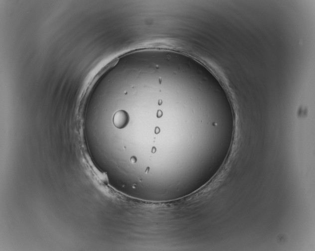 X0000115620816200911101414