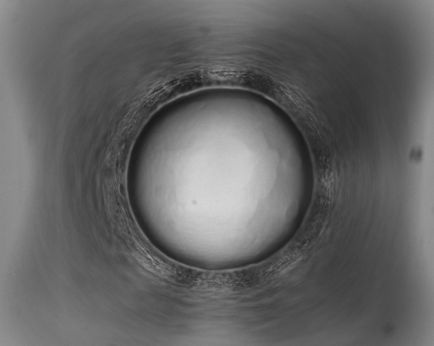 X0000115620817200911101413