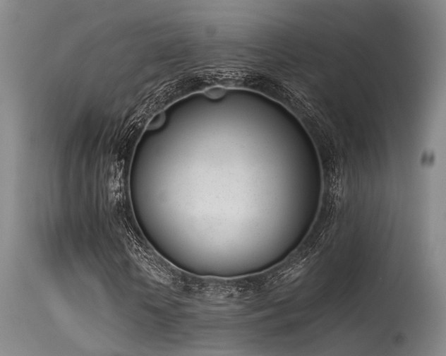 X0000115620818200911101413