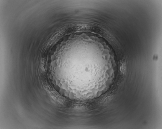 X0000115620819200911101413