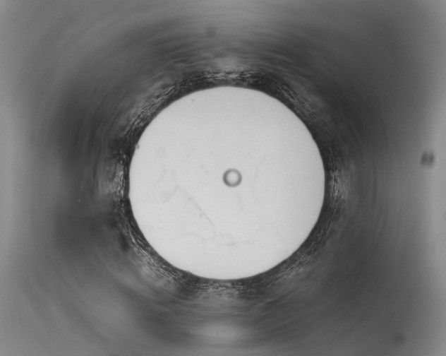 X0000115620820200911101413