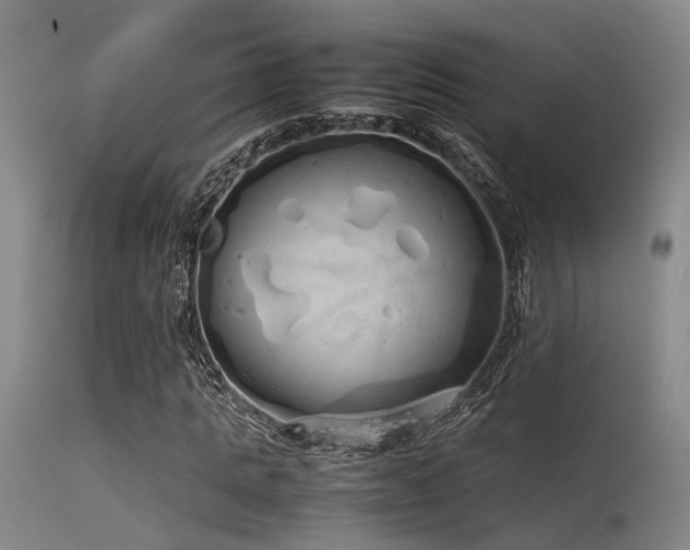 X0000115620821200911101413