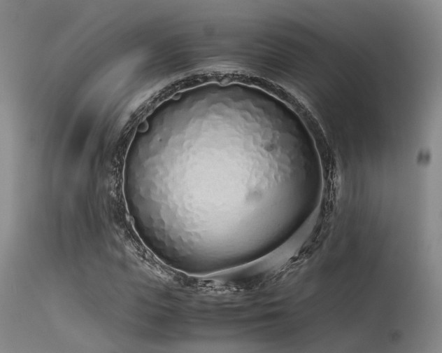 X0000115620823200911101413