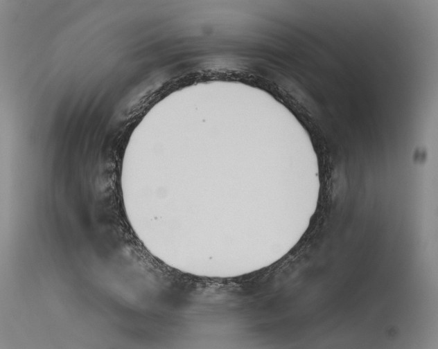 X0000115620824200911101413