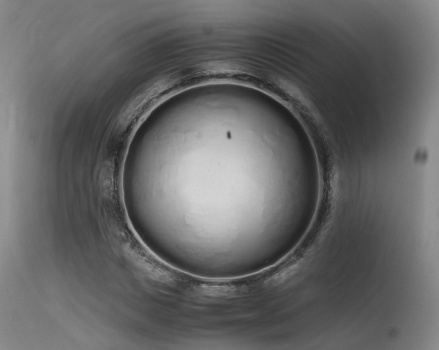 X0000115620825200911101413