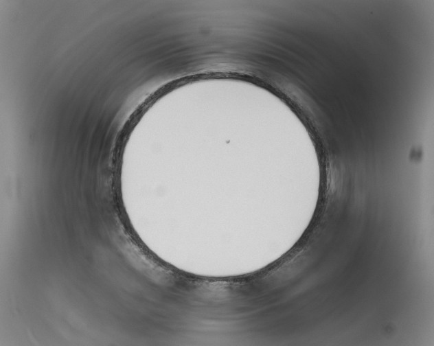 X0000115620828200911101413