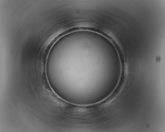 X0000115620829200911101413