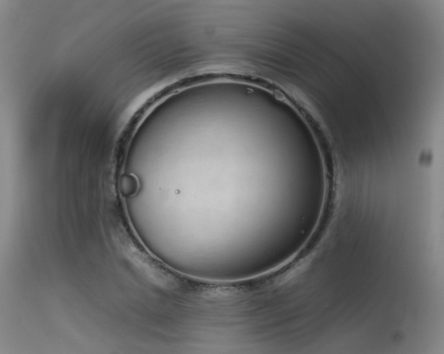 X0000115620830200911101413