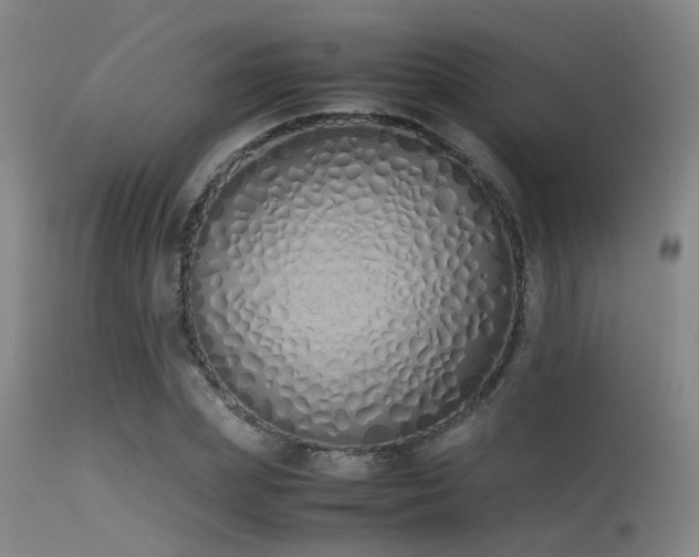 X0000115620831200911101413