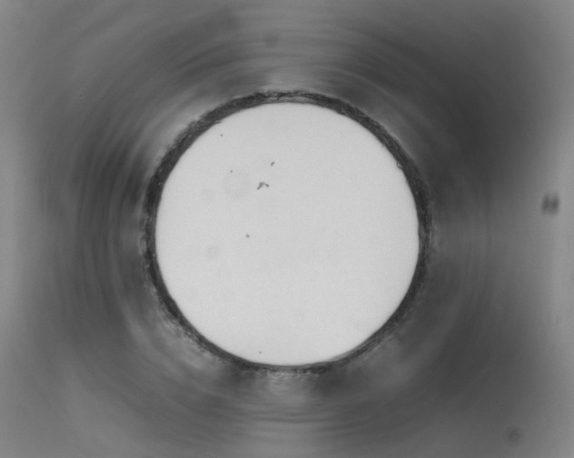 X0000115620832200911101413