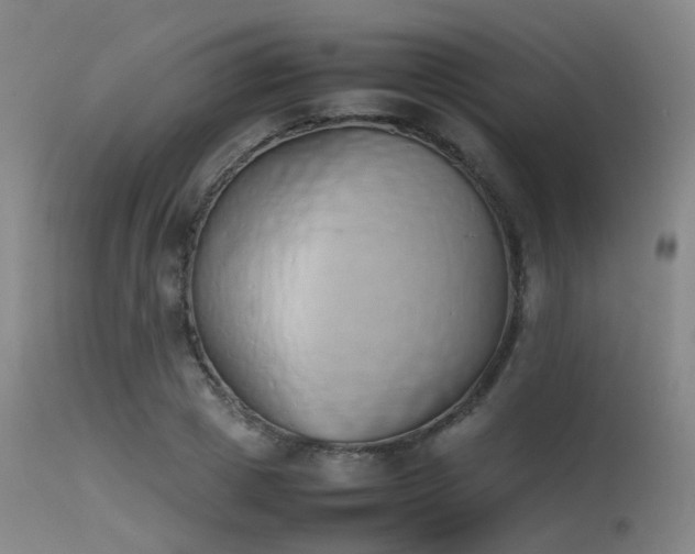 X0000115620833200911101413