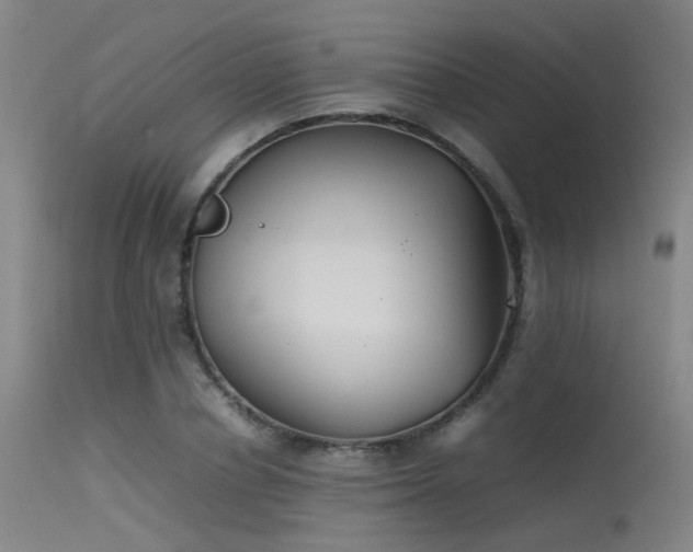 X0000115620834200911101413