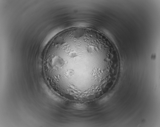 X0000115620835200911101413