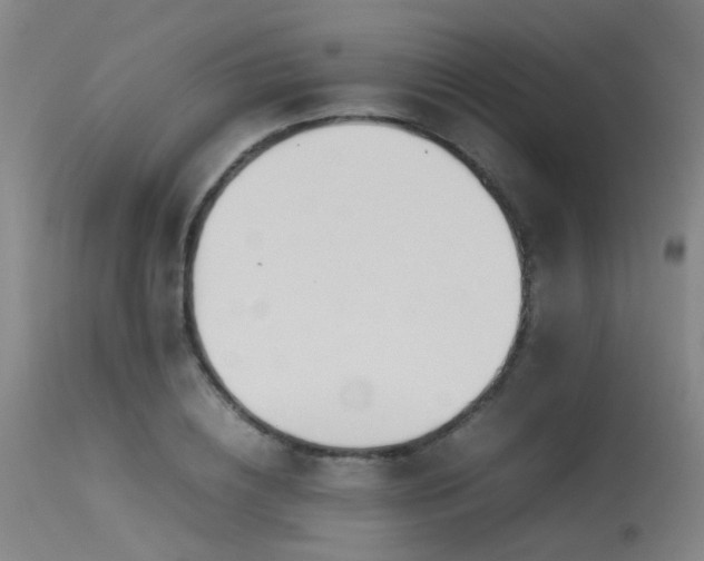 X0000115620836200911101413