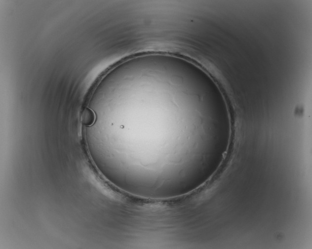 X0000115620838200911101413