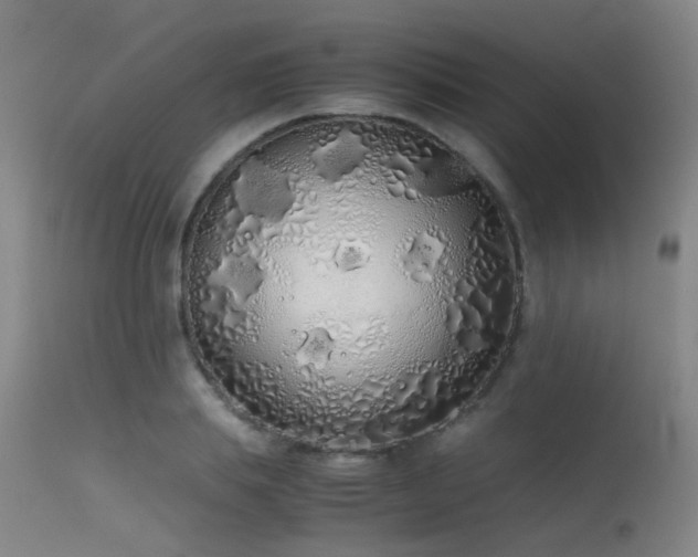 X0000115620839200911101413