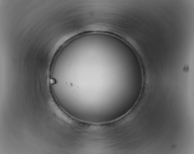 X0000115620840200911101413