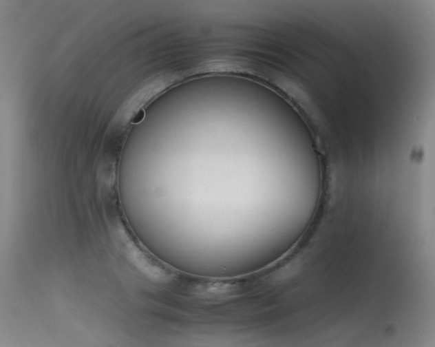 X0000115620841200911101413