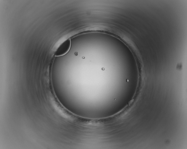 X0000115620842200911101413