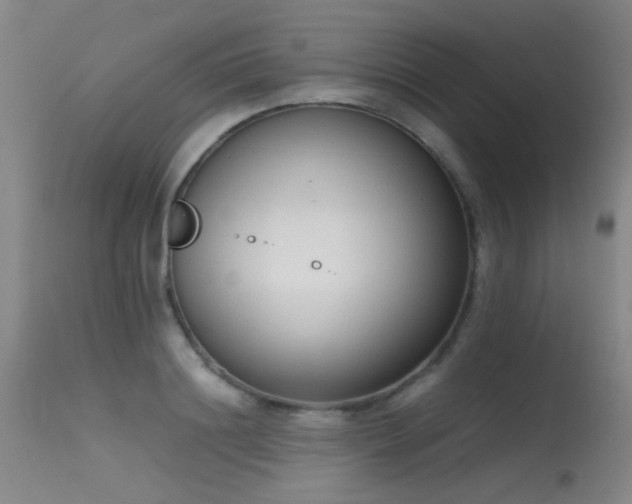 X0000115620844200911101413