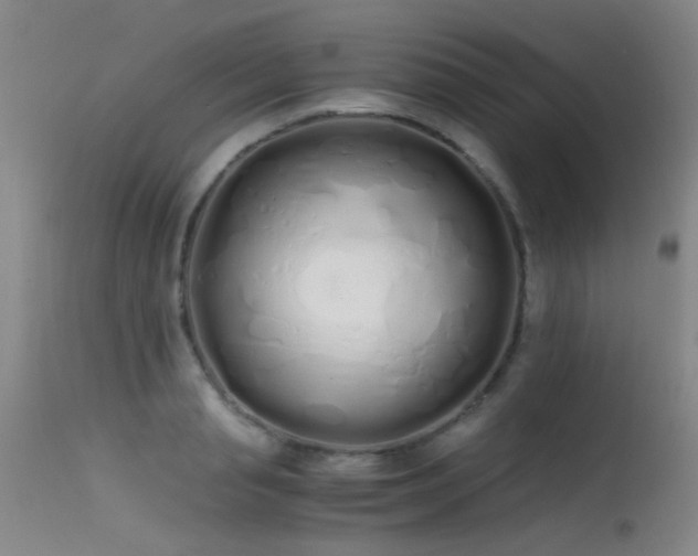 X0000115620845200911101413