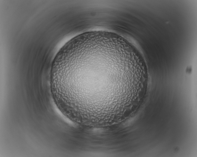 X0000115620847200911101413