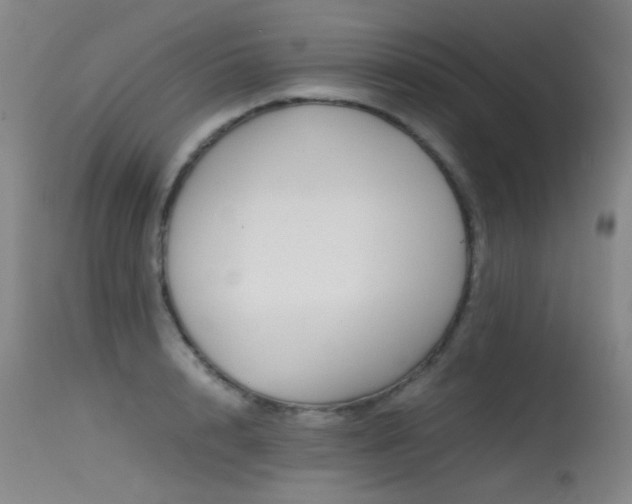 X0000115620848200911101413