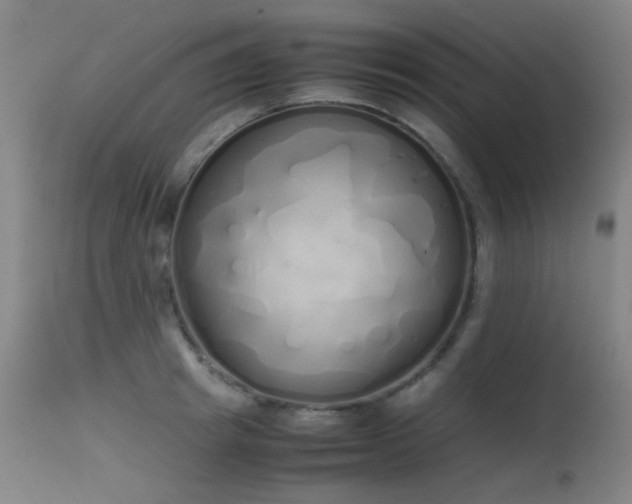 X0000115620849200911101414