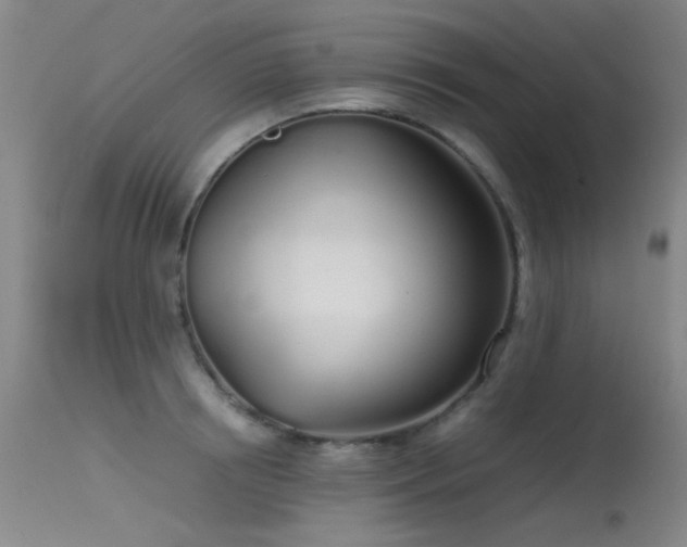 X0000115620850200911101414