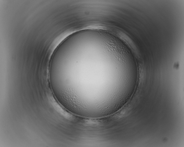 X0000115620852200911101414