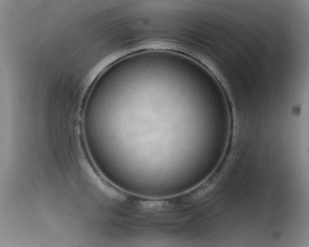 X0000115620853200911101414