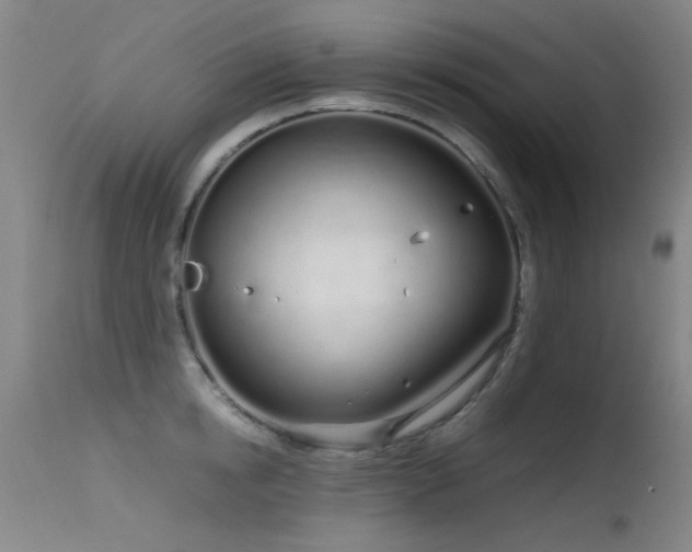 X0000115620854200911101414