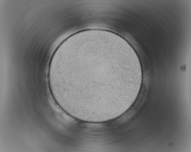 X0000115620856200911101414