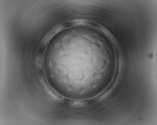 X0000115620857200911101414