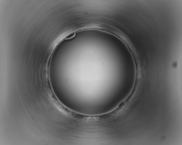 X0000115620858200911101414