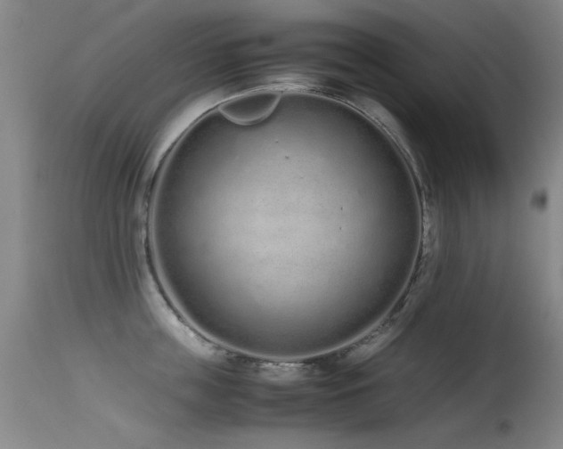 X0000115620859200911101414