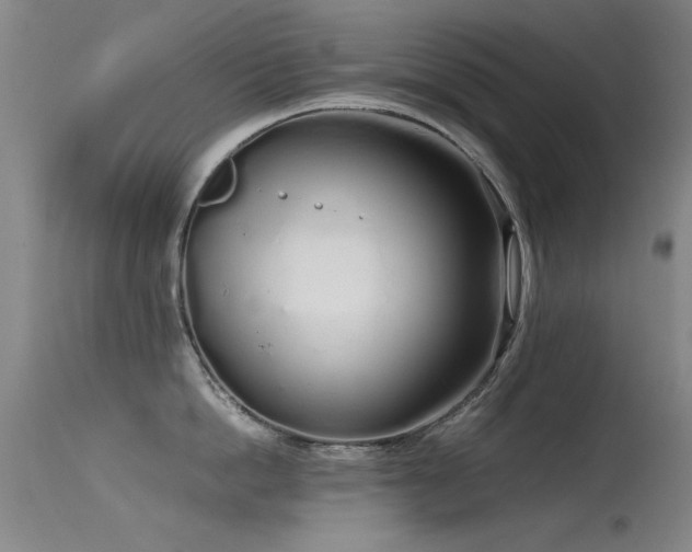 X0000115620862200911101414