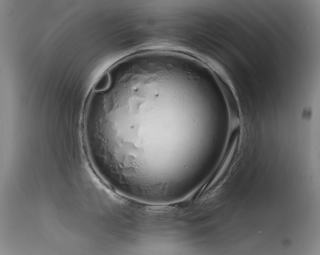 X0000115620863200911101414