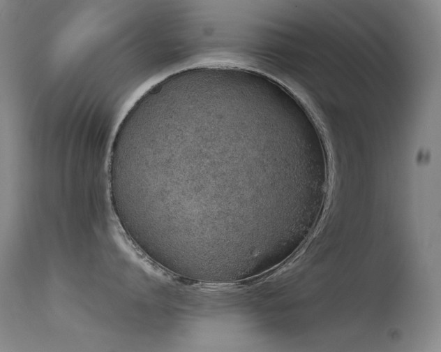 X0000115620864200911101414