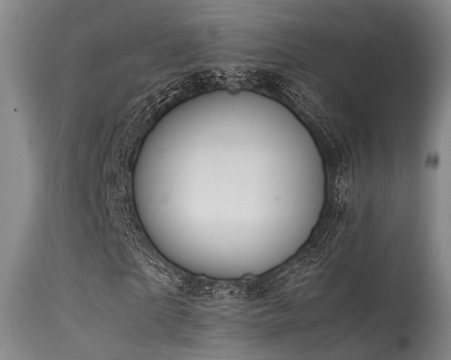 X0000115620865200911101413