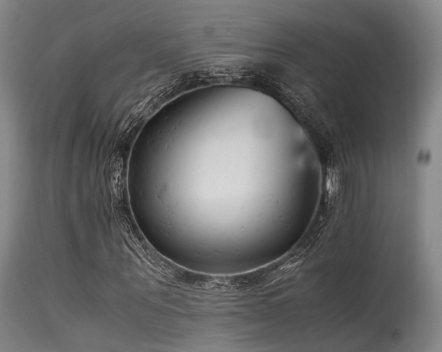 X0000115620867200911101413