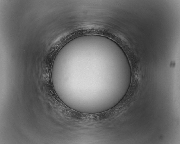 X0000115620869200911101413